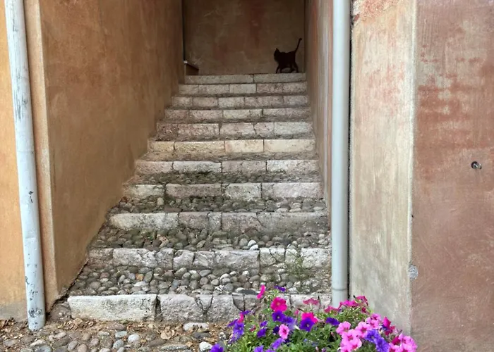 Alla Vigna