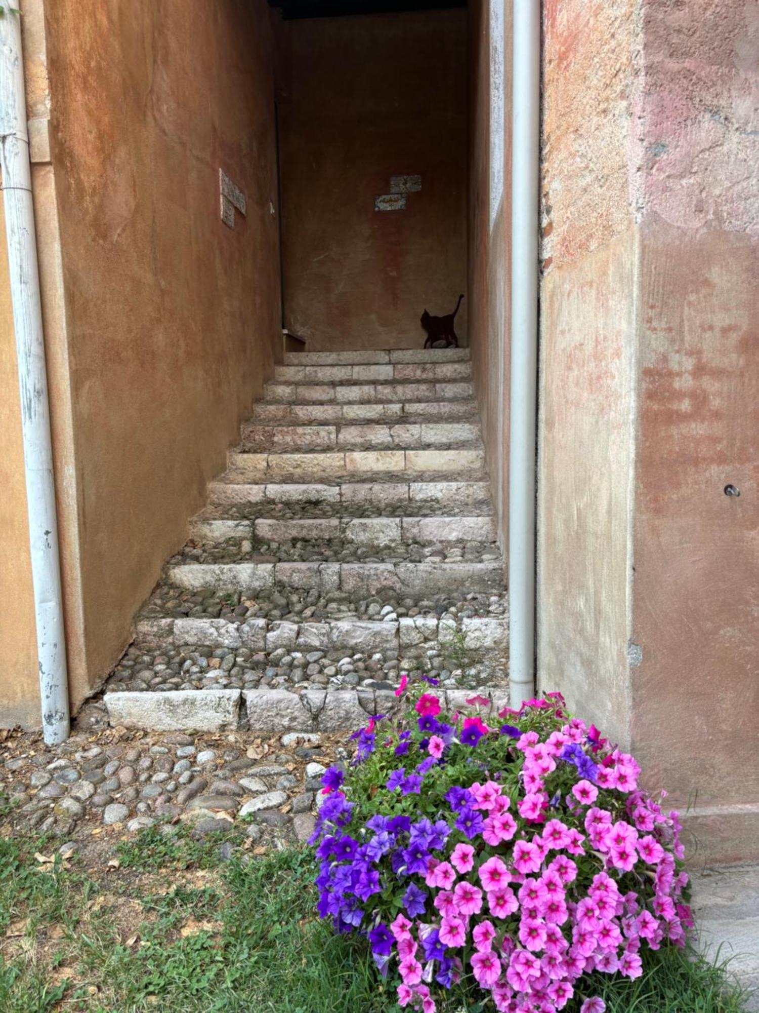 Holiday home Vigna Bassano del Grappa